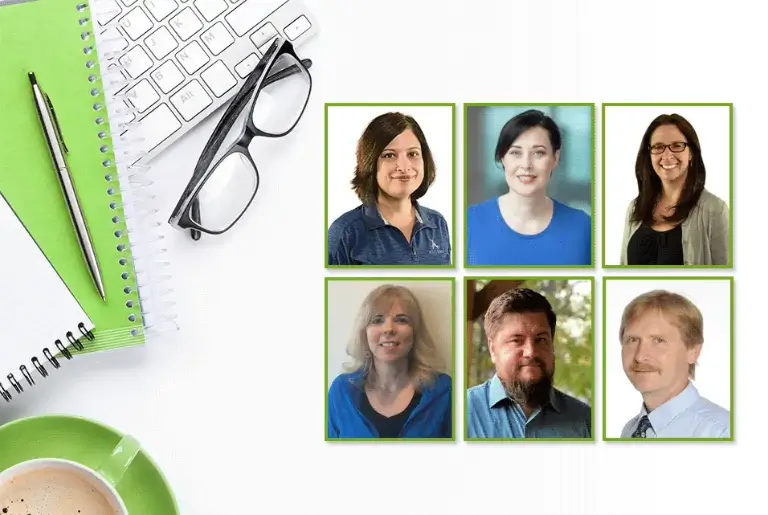 ascent-difference ASCENT Authors